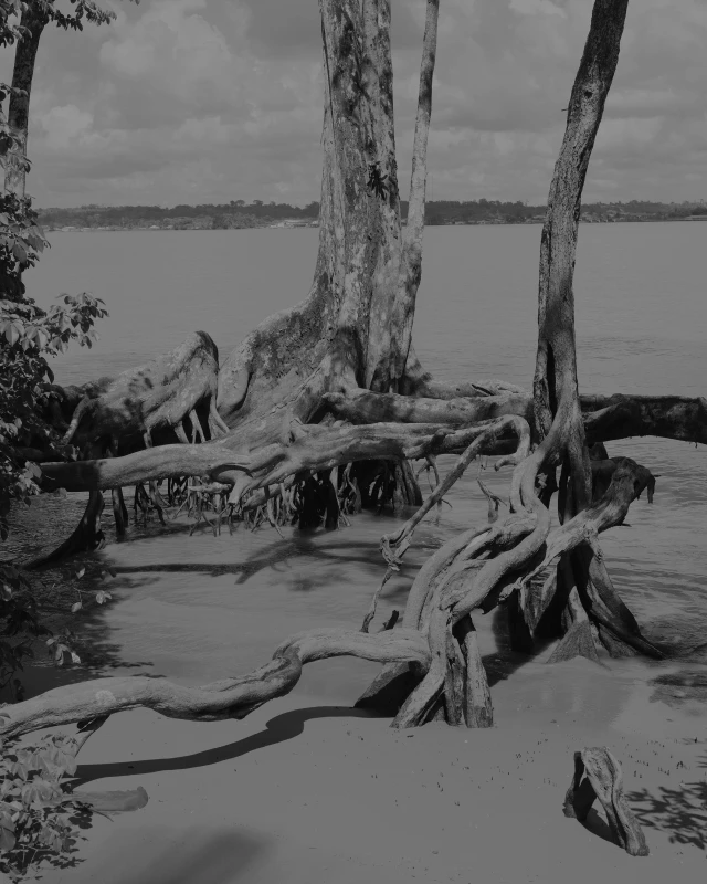 © Jérôme Blin, Sans titre #4, Les habitants du fleuve, 2024