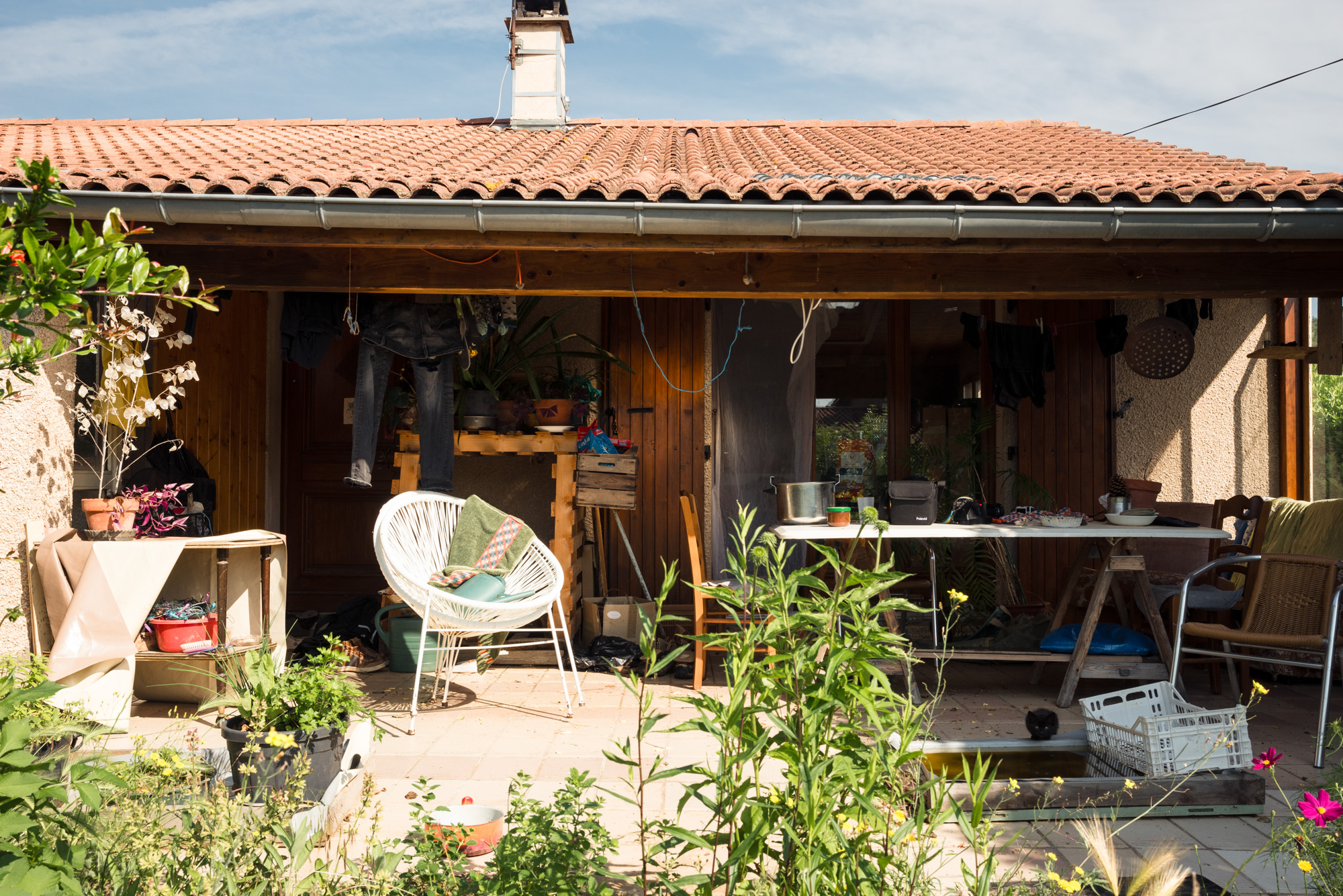 MP Preview Site Web 12