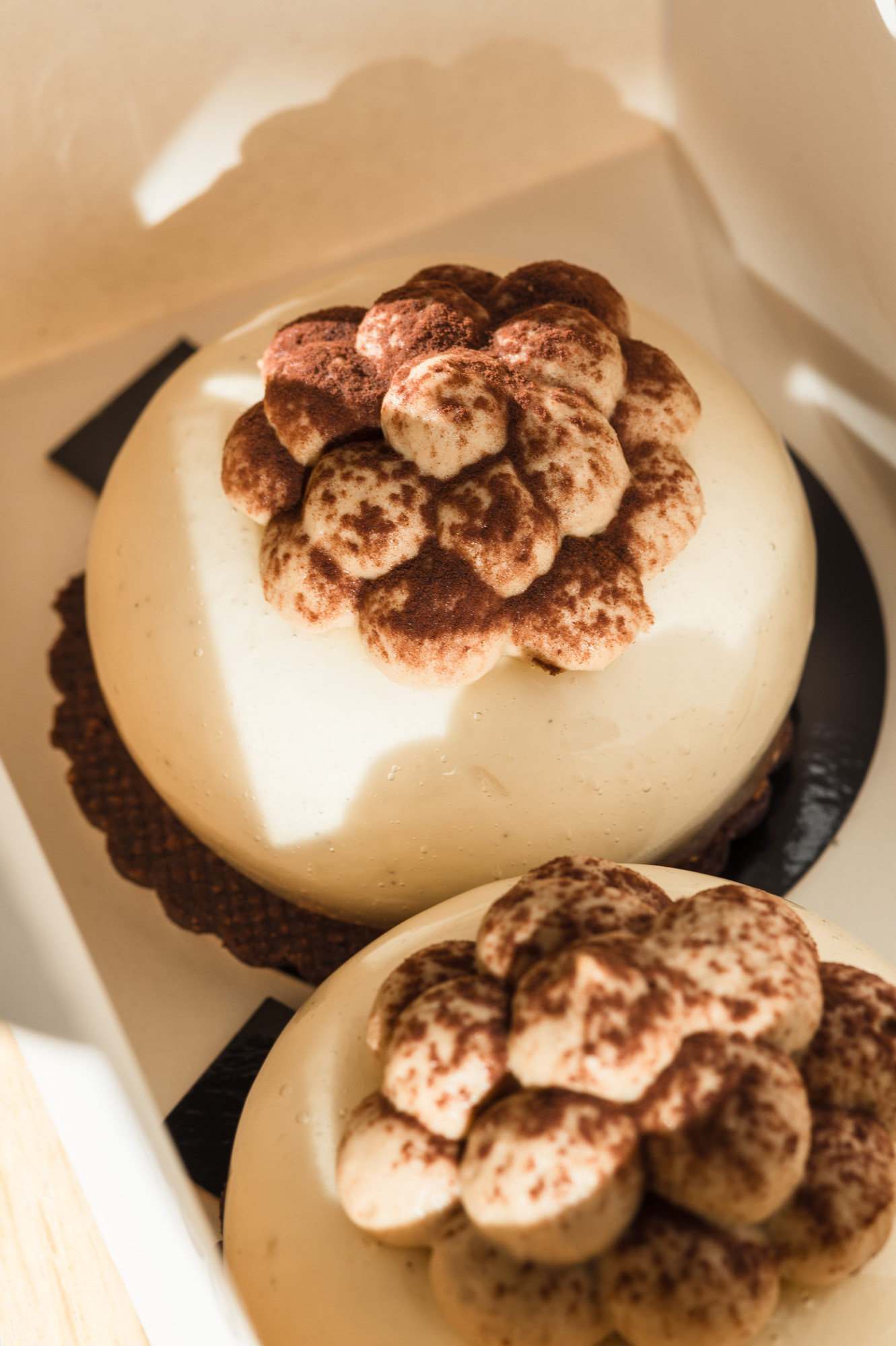 MP Preview Site Web 17