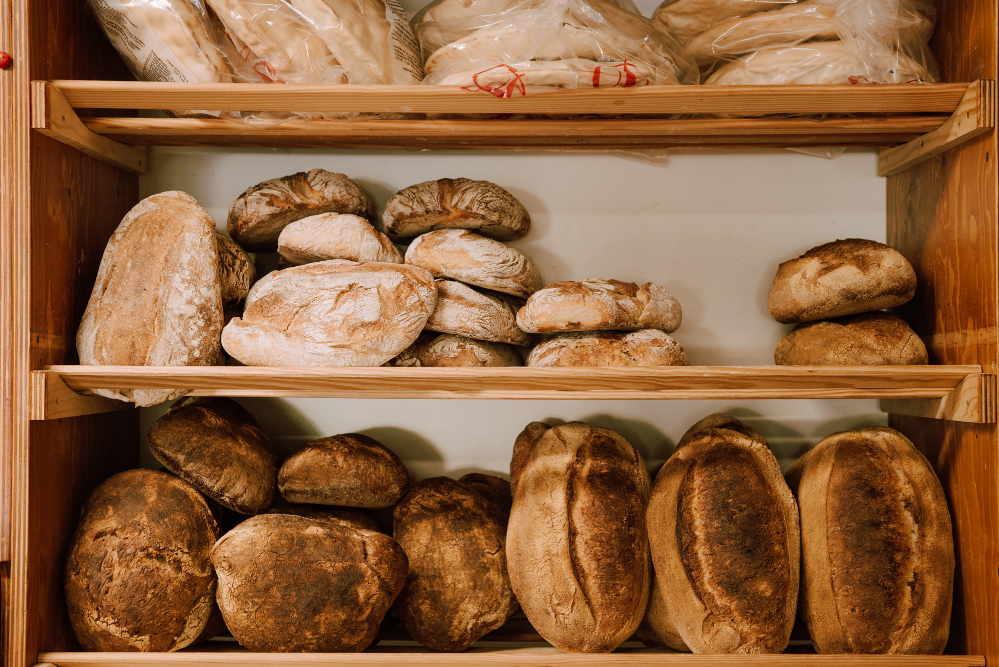 MP Preview Site Web 18